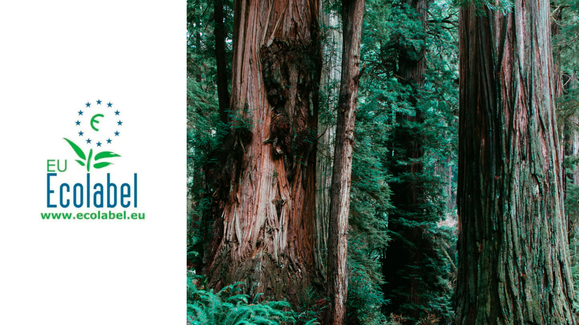 Limpiadores-ecologicos-industriales-vijusa-ECOLABEL