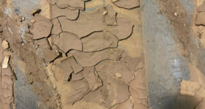 higiene-industrial-dana. limpiar y desinfectar espacios afectados por el barro